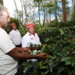 WhatsApp Image 2018-03-08 at 20.19.30