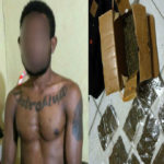 pelaku pengedar Ganja Kering