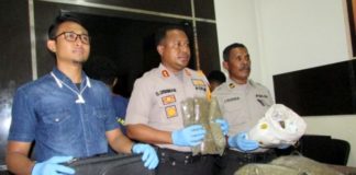 Kapolres Jayapura, AKBP Gustaf R Urbinas (tengah) saat menunjukkan barang bukti ganja yang berhasil digagalkan sebelum dibawa tersangka ke Serui dan Sorong, Selasa (28/8/2018)