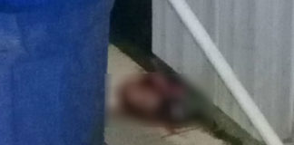 Mayat bayi yang ditemukan dibuang di lantai toilet Taman Jokowi Skayland