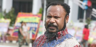 Anggota DPR RI Dapil Papua, Willem Wandik S.Sos