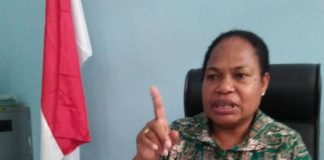Ketua Pokja Perempuan, Majelis Rakyat Papua, Nerlince Wamuar Rolo,SE