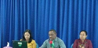 BPS Papua Catat Empat Subesktor di Bulan Mei 2019 Alami Peningkatan