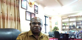 Drg. Aloysius Giyai, M.Kes