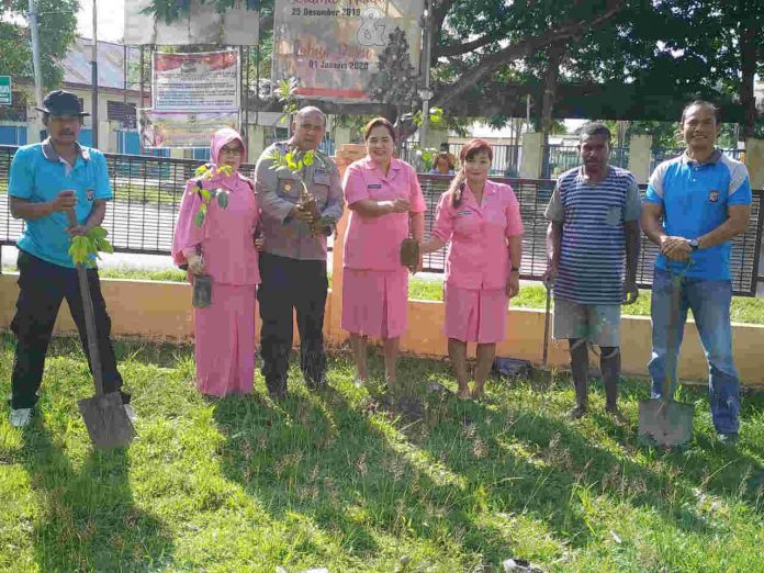 Caption : Kapolsek Mimika Timur Iptu Wilston Latuasan, didampingi para Ibu BHayangkari dan jajaran Polsek Mimika Timur, saat menanam bibit pohon rambutan di halaman Mapolsek, Rabu (08/01/2020).