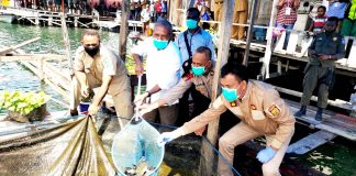 Bupati Jayapura, Mathius Awoitauw didampingi asisten I A. Rahman Basri saat memanen ikan di kolam ikan milik warga kampung di Distrik Ebungfau, Selasa (19/5)