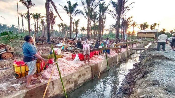 Masyarakat Kampung Ifar Besar yang sedang mengolah sagu Masyarakat Kampung Ifar Besar yang sedang mengolah sagu