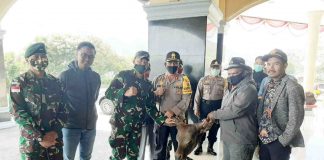 Caption : Bupati Puncak Jaya, Yuni Wonda, S.Sos, S.IP, MM, saat menyerahkan secara simbolis kepala ternak sapi kepada Unsur Pimpinan TNI Polri, ASN dan Masyarakat Muslim di Halaman Kantor Bupati Puncak Jaya, Sabtu (23/05/2020).