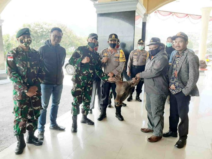 Caption : Bupati Puncak Jaya, Yuni Wonda, S.Sos, S.IP, MM, saat menyerahkan secara simbolis kepala ternak sapi kepada Unsur Pimpinan TNI Polri, ASN dan Masyarakat Muslim di Halaman Kantor Bupati Puncak Jaya, Sabtu (23/05/2020).