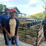 Adolf Yoku dan kelompok tani binaan Pemerintah Daerah Kabupaten Jayapura saat mengolah lahan pertanian untuk program ketahanan pangan di Hawaii