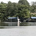 Spot wisata di Kampung Yokiwa, yang merupakan satu-satunya sungai yang mengalirkan air Danau Sentani ke laut