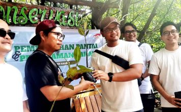 Penyerahan bibit pohon bakau untuk ditanam di kawasan Cagar Alam Teluk Youtefa