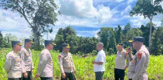 Caption : Irwasda Polda Papua, Kombes Pol. Jeremias Rontini, S.I.K., M.H bersama PJU Polda Papua saat meninjai lokasi penanaman jagung dan tumpeng sari, Kamis (15/01/2025).