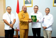 Dewan Energi Nasional Beri Apresiasi Kepada Pemprov Papua atas Percepatan Penyusunan RUED