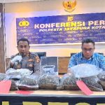 Kapolresta Jayapura Kota, AKBP Fredrickus W.A. Maclarimboen, S.I.K didampingi Kasat Resnarkoba Polresta Jayapura Kota dijabat oleh AKP Febry V Pardede, saat memberi keterangan pers terkait pengungkapan kasus Narkoba jenis ganja di Mapolresta Jayapura Kota, Jumat (17/4/26).