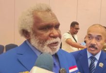 Ketua HNSI Papua Selatan yang juga Wakil Gubernur Papua Selatan, Paskalis Imadawa