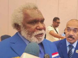 Ketua HNSI Papua Selatan yang juga Wakil Gubernur Papua Selatan, Paskalis Imadawa