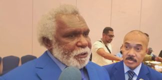 Ketua HNSI Papua Selatan yang juga Wakil Gubernur Papua Selatan, Paskalis Imadawa