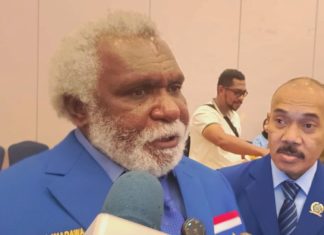 Ketua HNSI Papua Selatan yang juga Wakil Gubernur Papua Selatan, Paskalis Imadawa