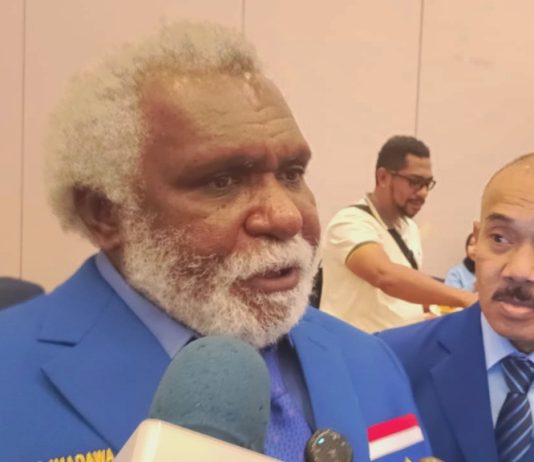 Ketua HNSI Papua Selatan yang juga Wakil Gubernur Papua Selatan, Paskalis Imadawa