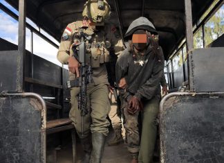 Satgas Operasi Damai Cartenz Amankan Terduga Anggota KKB Kodap VIII Intan Jaya