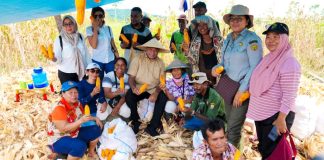 Gubernur Papua, Matius D. Fakhiri berfoto bersama para petani Kampung Sanggaria, Distrik Arso, Kabupaten Keerom, yang sedang mengupas jagung hasil panenannya, Kamis (30/4/26)
