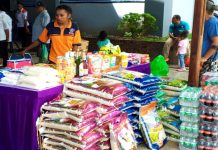 Bahan pokok yang untuk memenuhi kebutuhan masyarakat di Papua harus didatangkan dari luar daerah. (foto/Kominfo Papua)