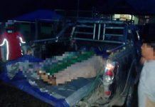 Di Tolikara, 5 Pekerja Jalan Tewas Ditembak, Polisi Lakukan Penyelidikan Intensif