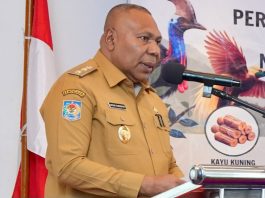 Wakil Gubernur Papua Dr. Aryoko A.F. Rumaropen, S.P., M.Eng.