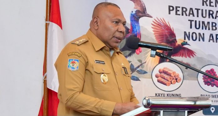 Wakil Gubernur Papua Dr. Aryoko A.F. Rumaropen, S.P., M.Eng. Wakil Gubernur Papua Dr. Aryoko A.F. Rumaropen, S.P., M.Eng.